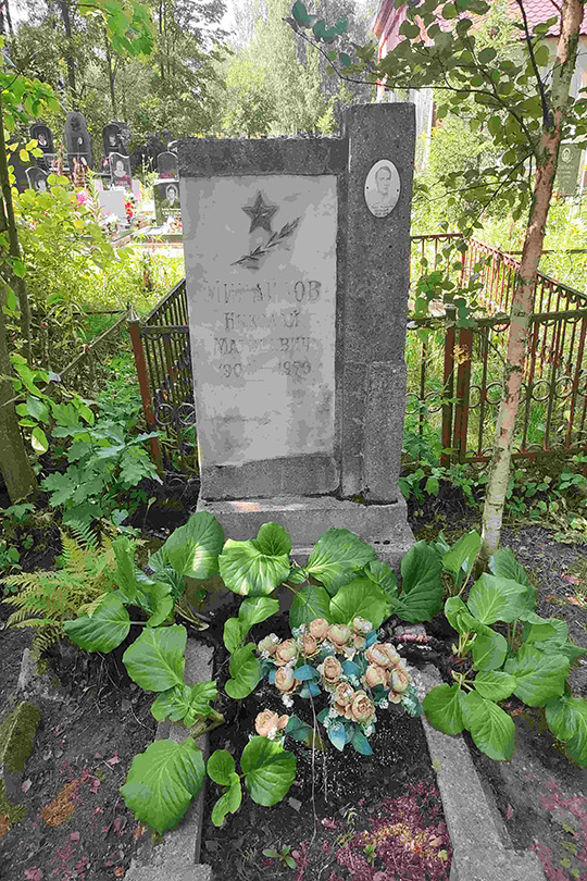 Михайлов Николай Матвеевич