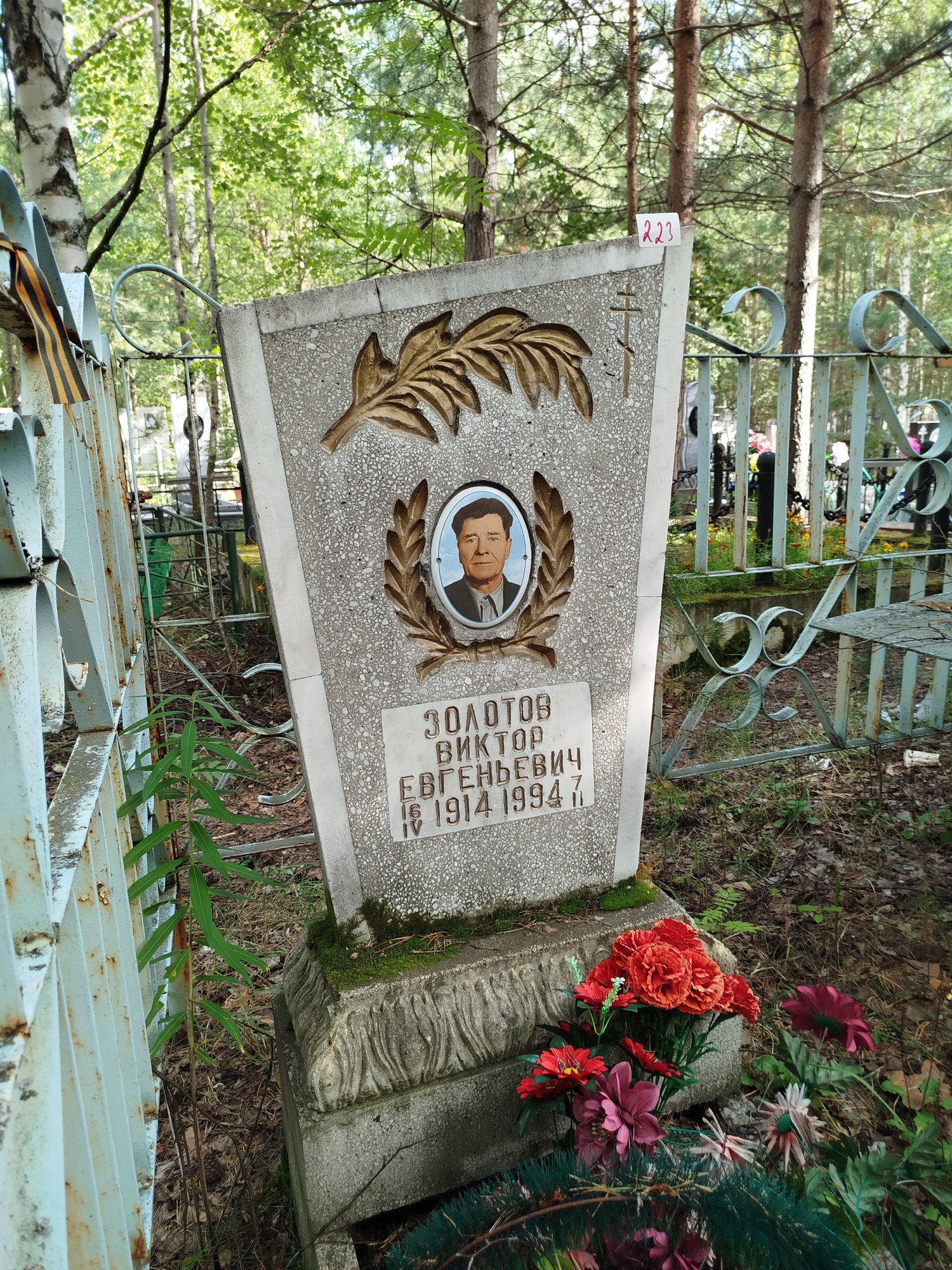 Золотов Виктор Евгеньевич