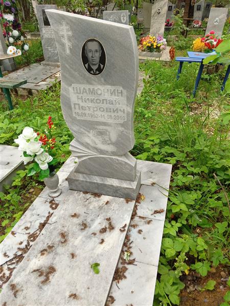Шамонин Николай Петрович