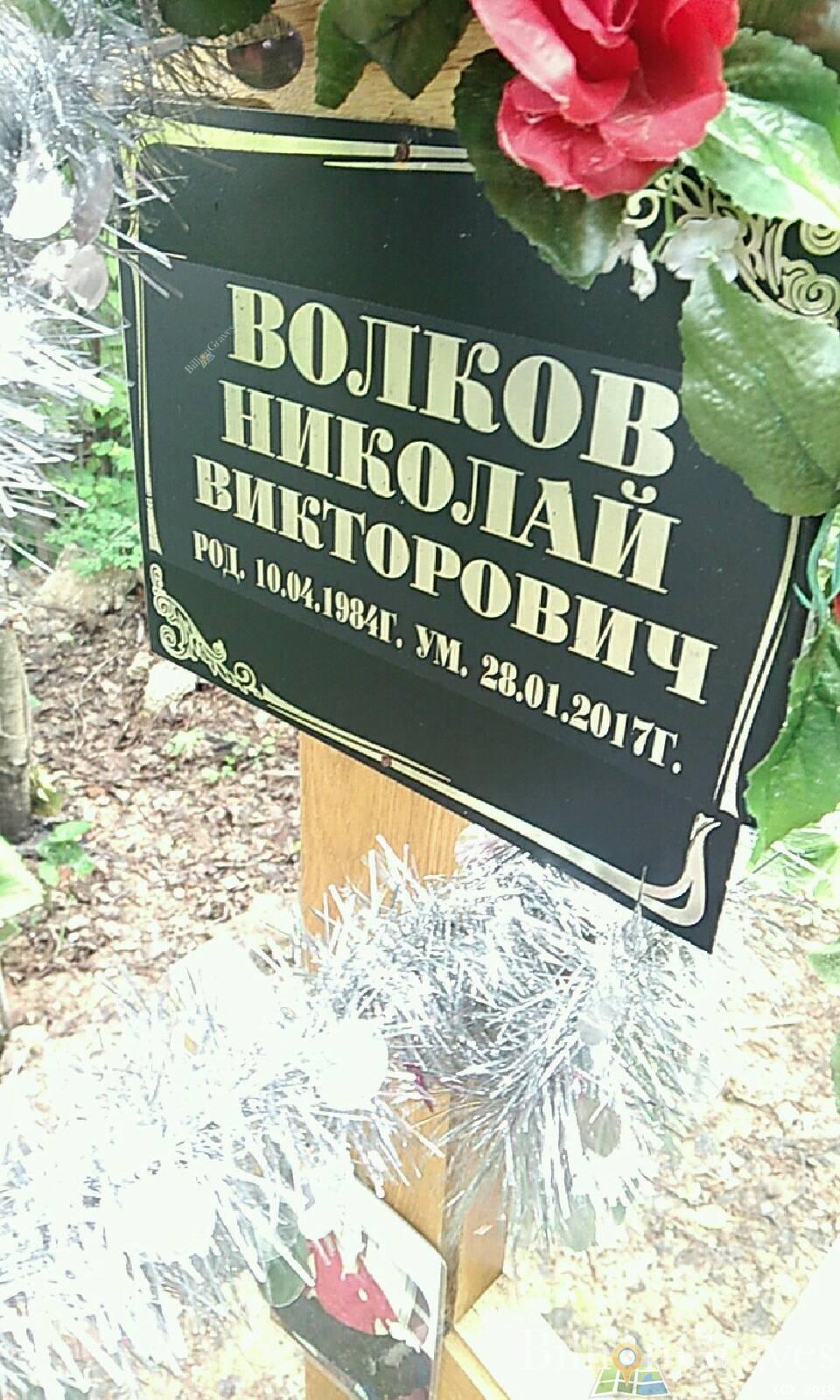 волков Николай викторович