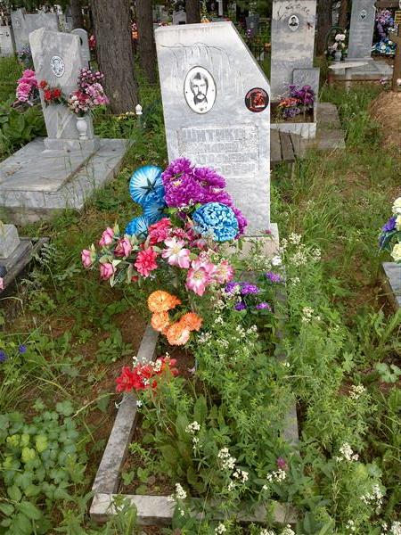 Шитиков Андрей Анатольевич