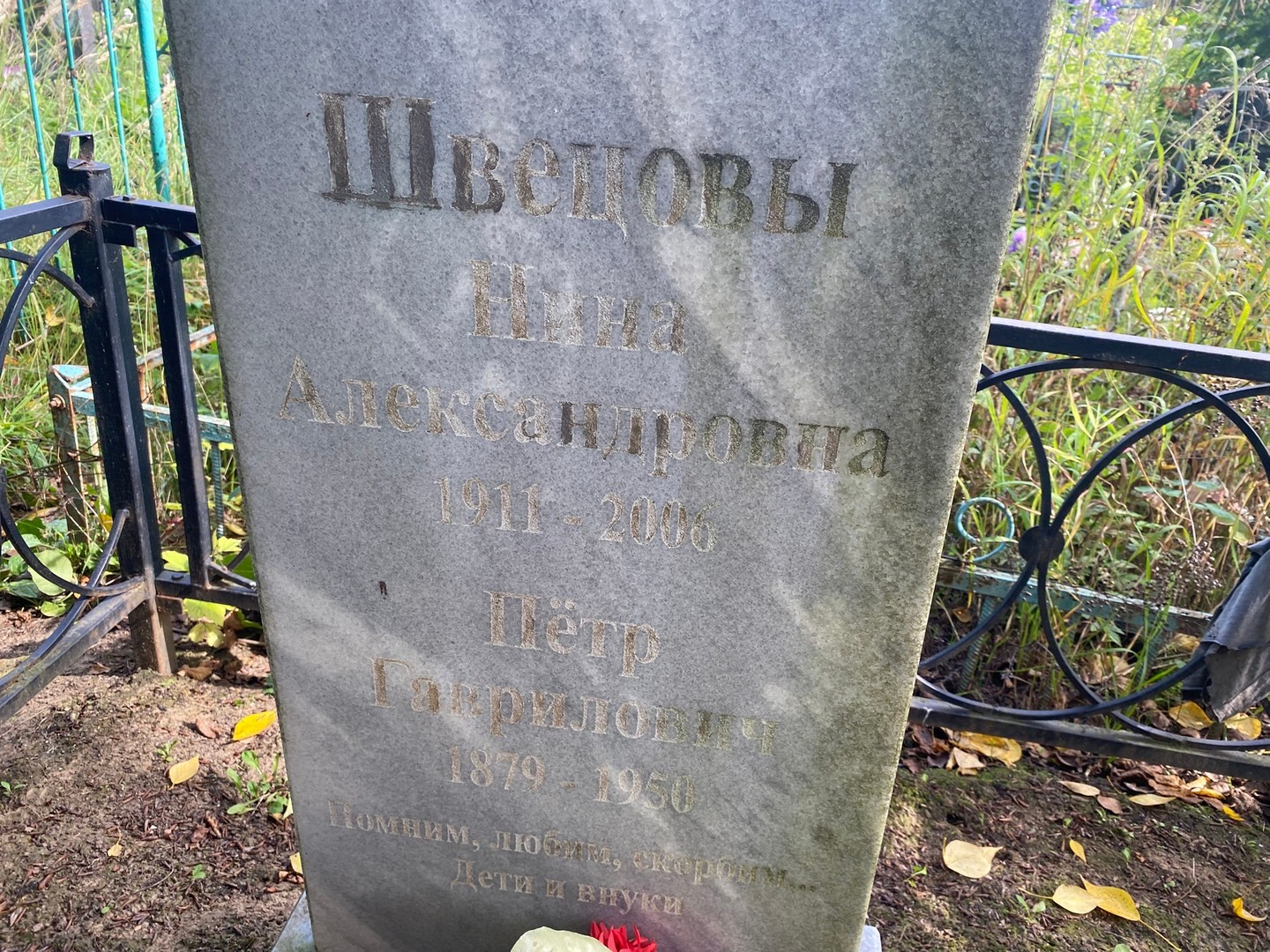 Швецова