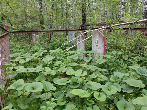 Балахнин Андриян Романович