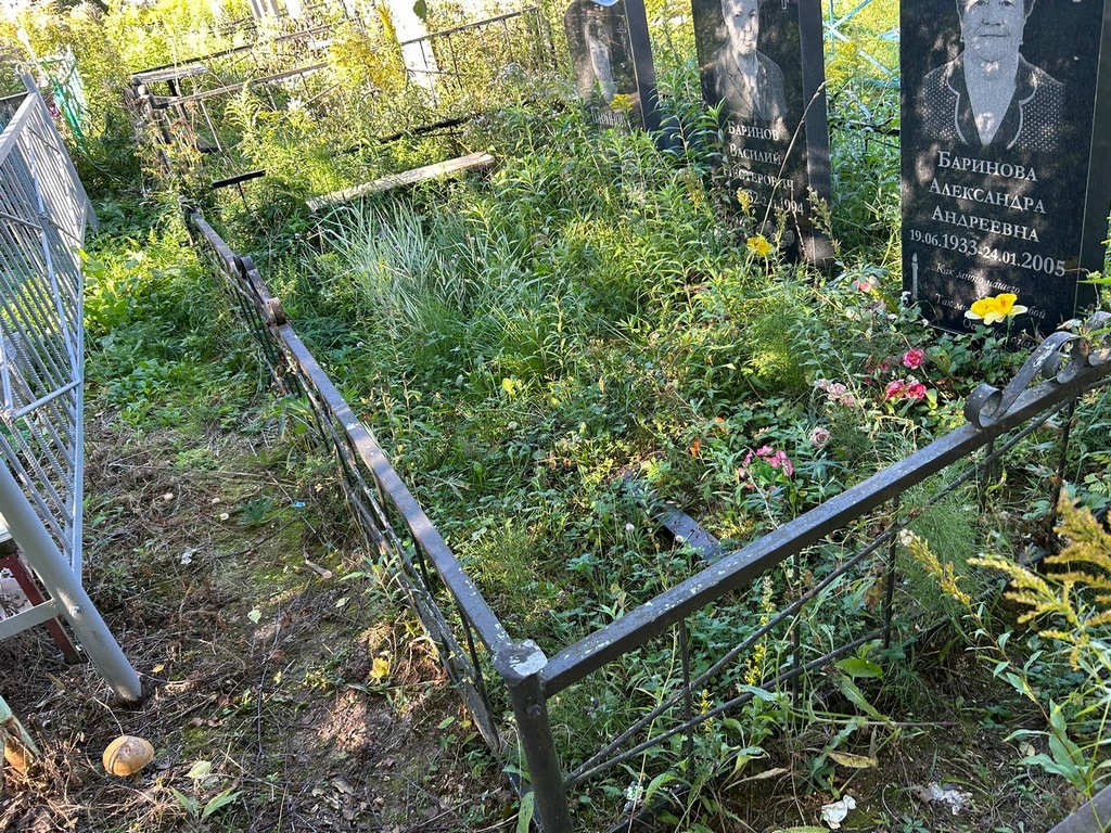 Баринова Александра Андреевна