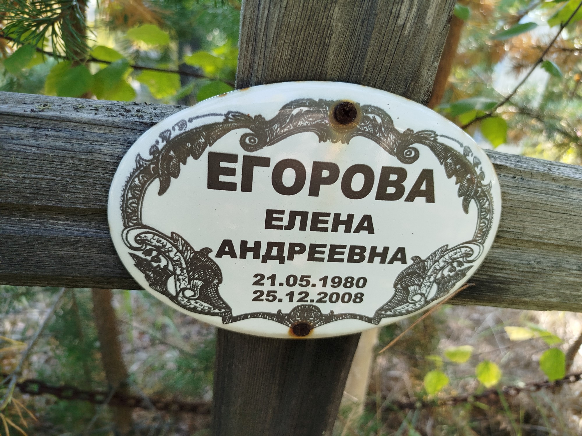 Егорова Елена Андреевна