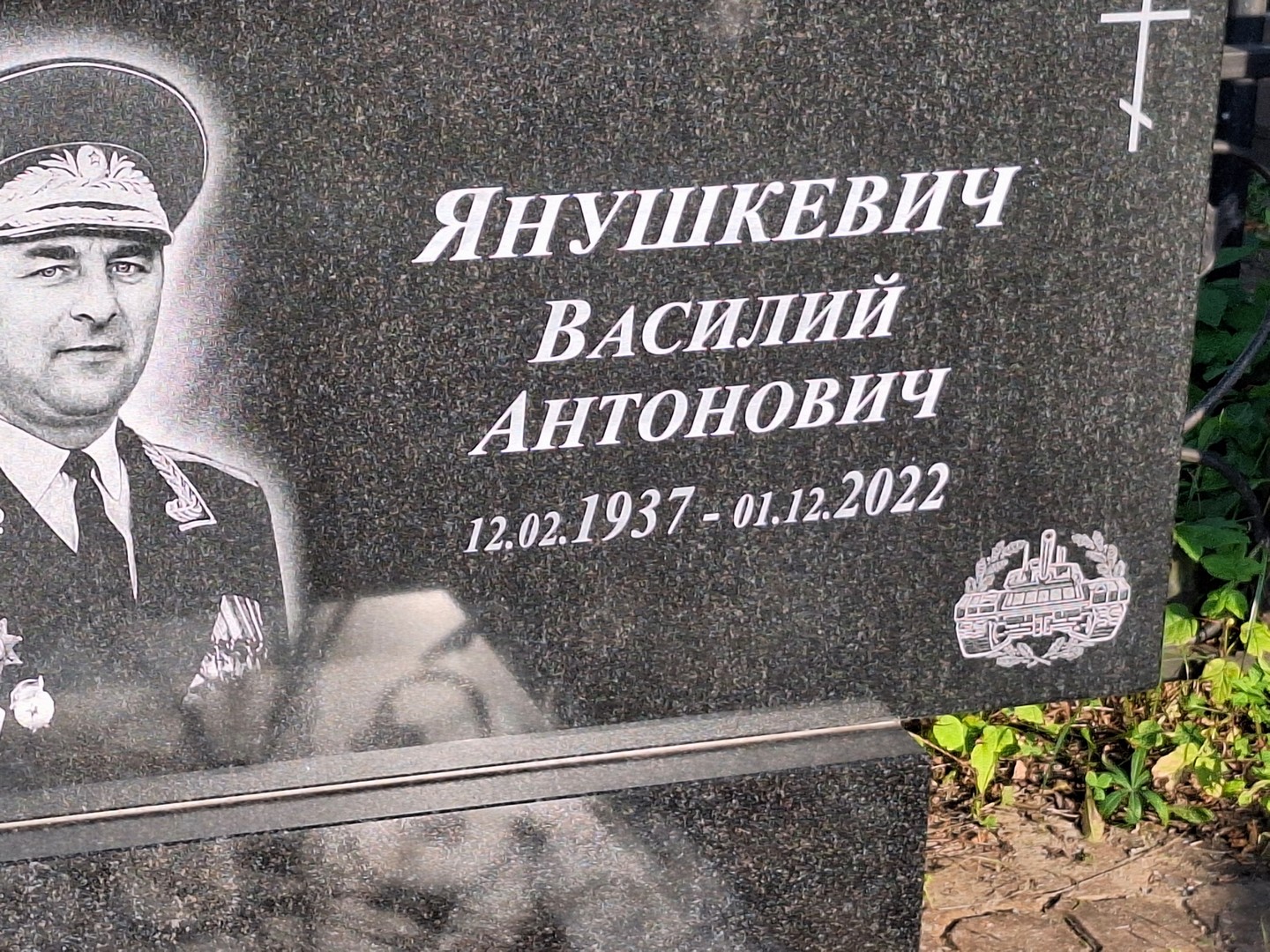 Янушкевич