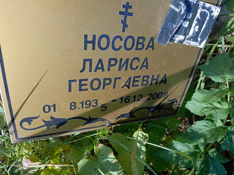 Носова
