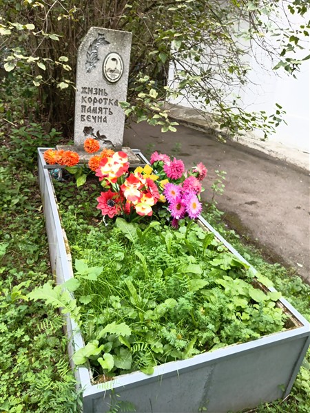 Николаева Лена Валерьевна