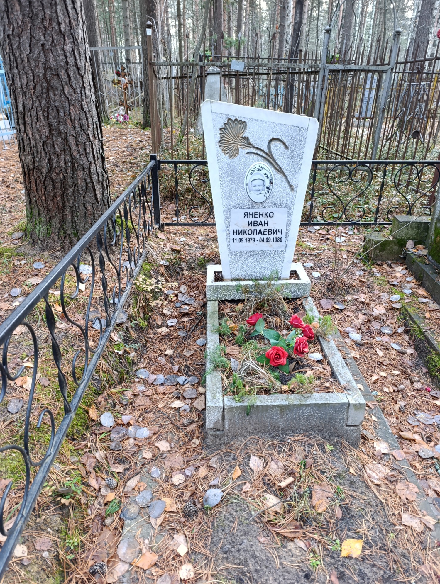Яненко Иван Николаевич