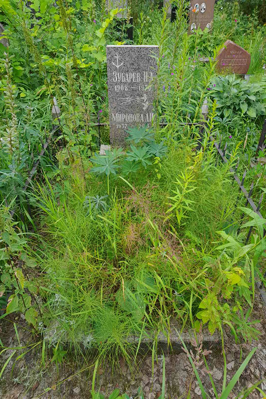 Миронова Л. И.