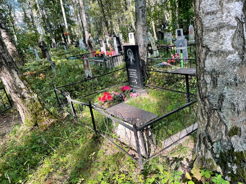 Белозерова Александра Николаевна