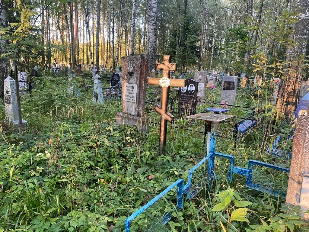 Моисеева Анна Ивановна