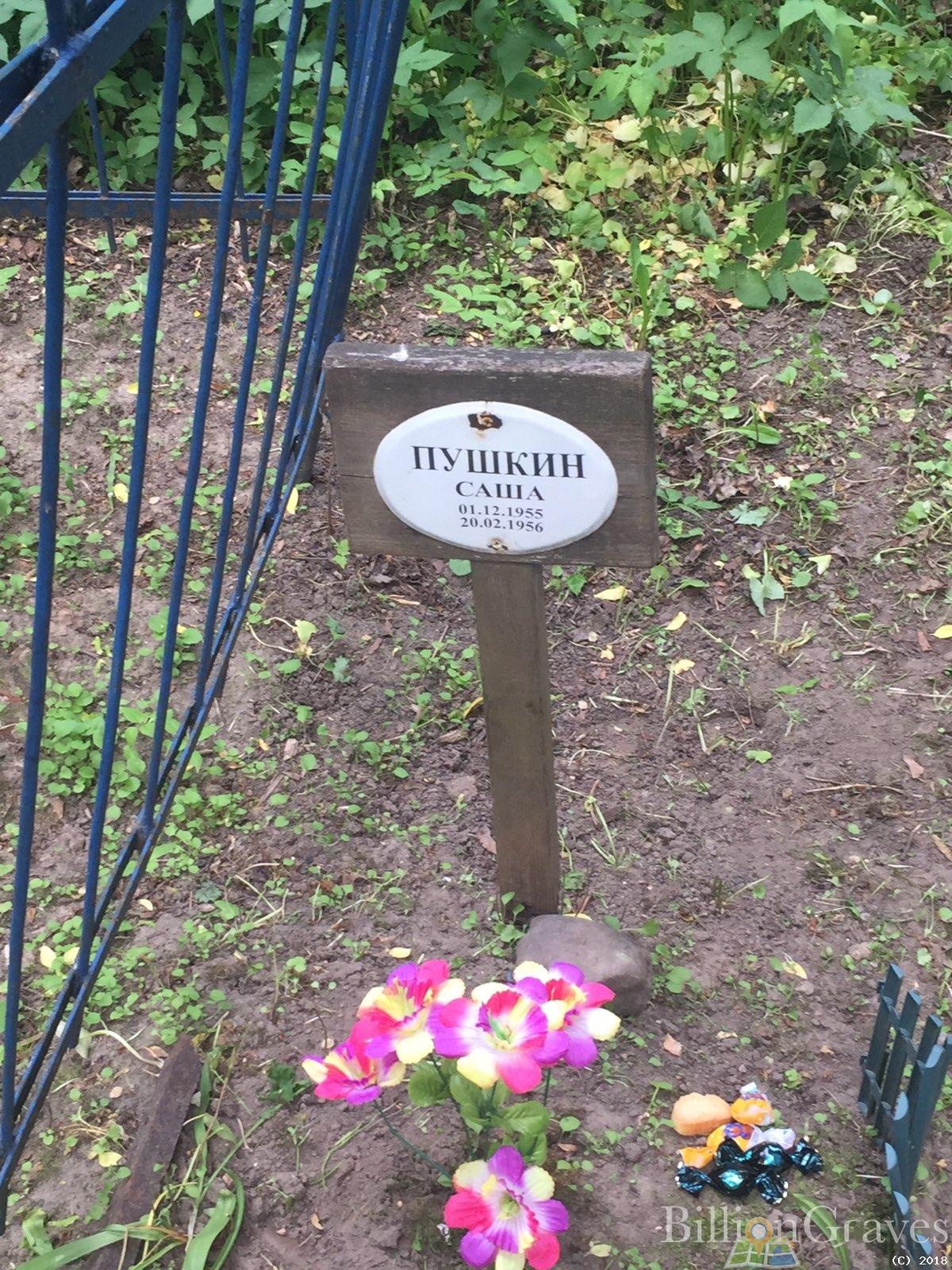 пушкин Александр