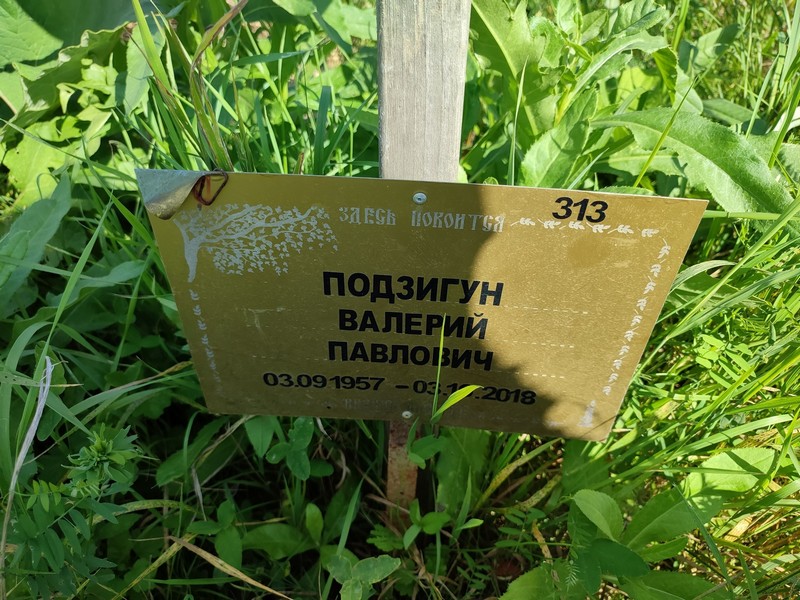 Подзигун