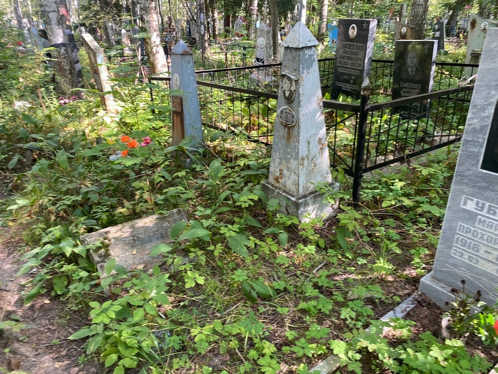 Колоярский Тимофей Никитович