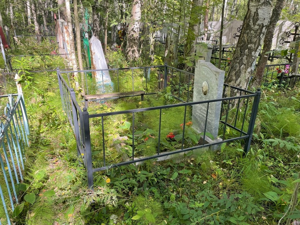 Арефьева Анна Александровна
