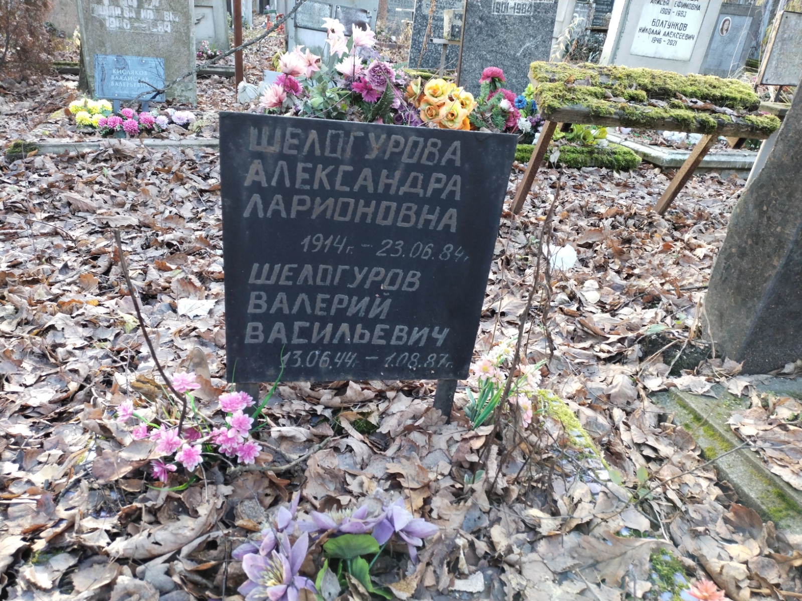 Шелогурова Александра Ларионовна