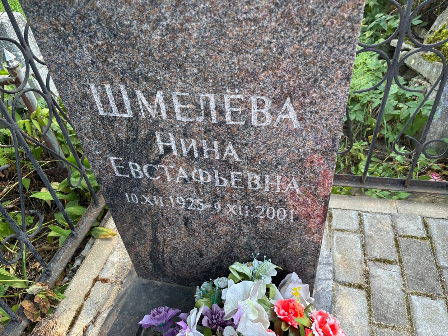 Шмелева