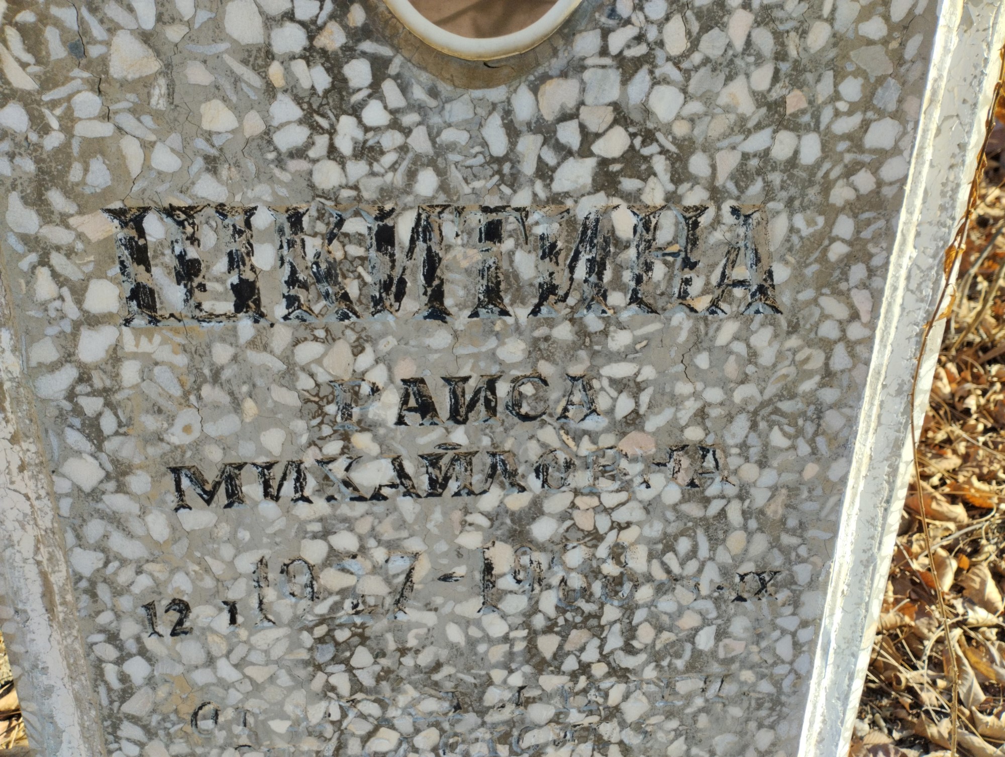 Шкитина Раиса Михайловна