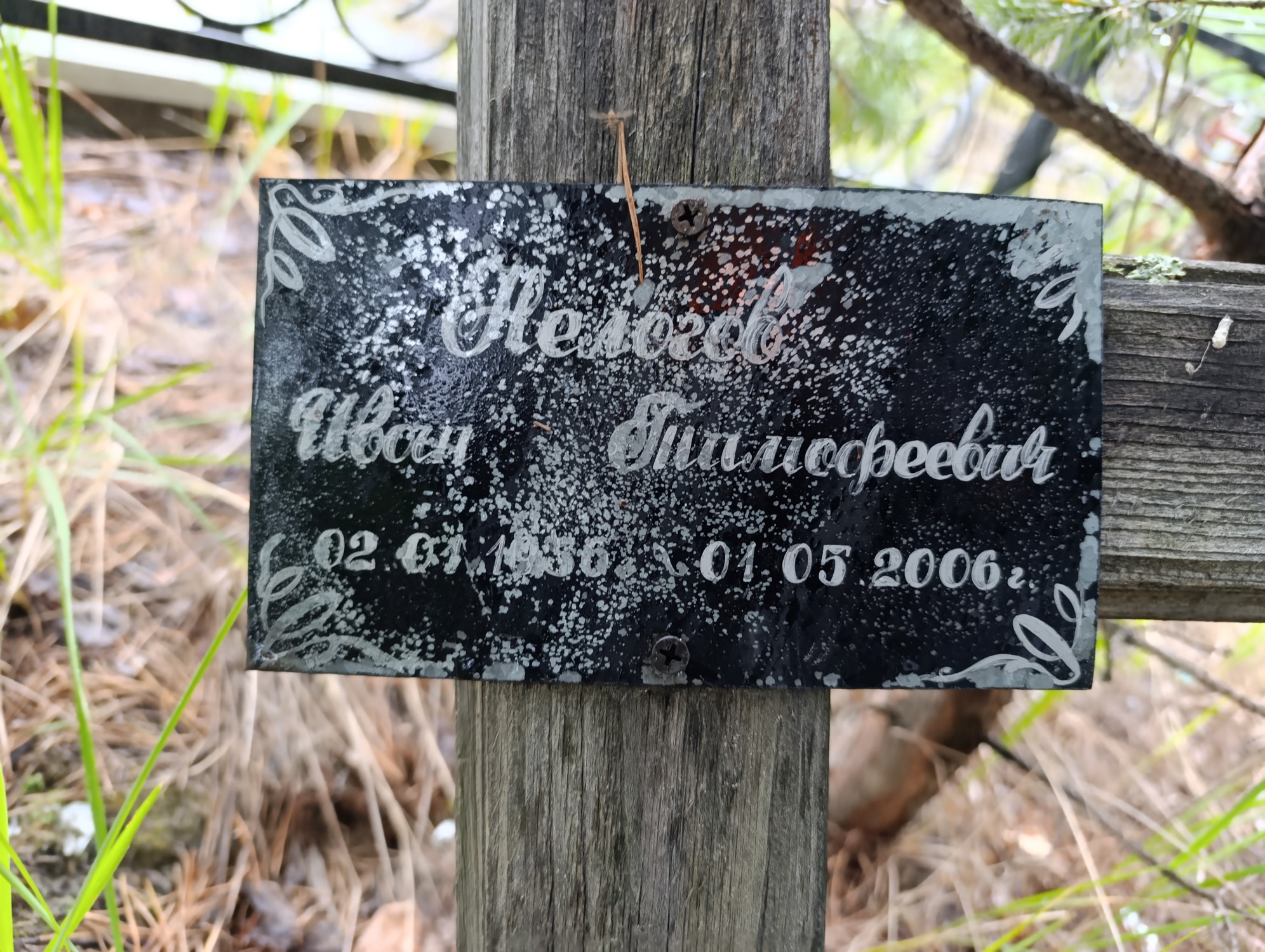 Нелогов Иван Тимофеевич