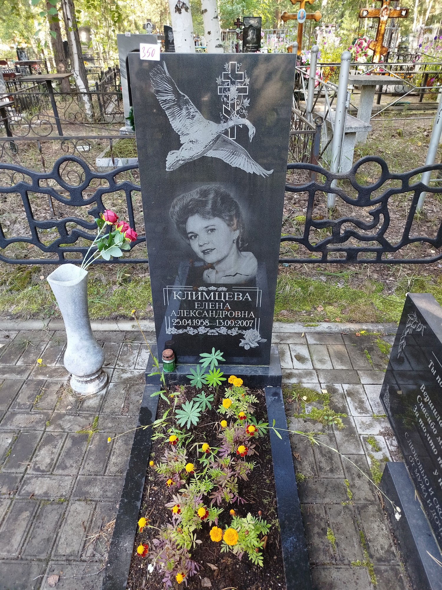 Клименцева Елена Александровна