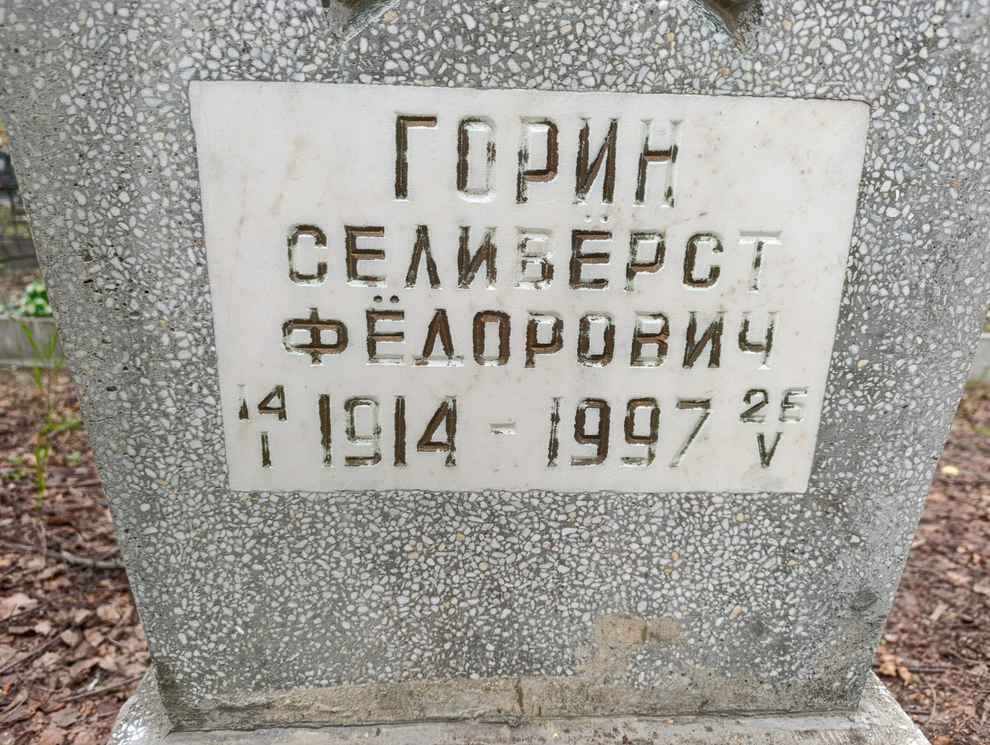 Горин Селивёрст Фёдорович