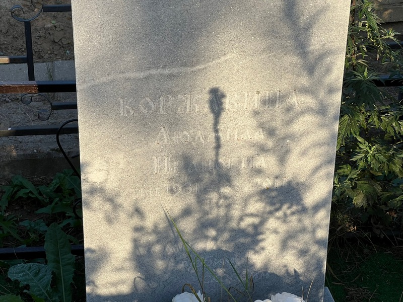 Коржавина