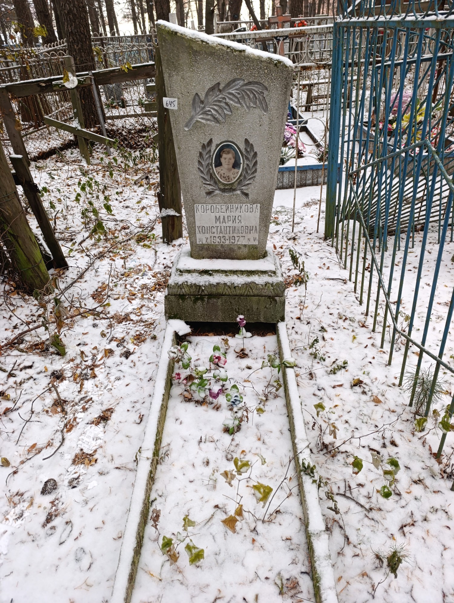 Коробейникова Мария Константиновна