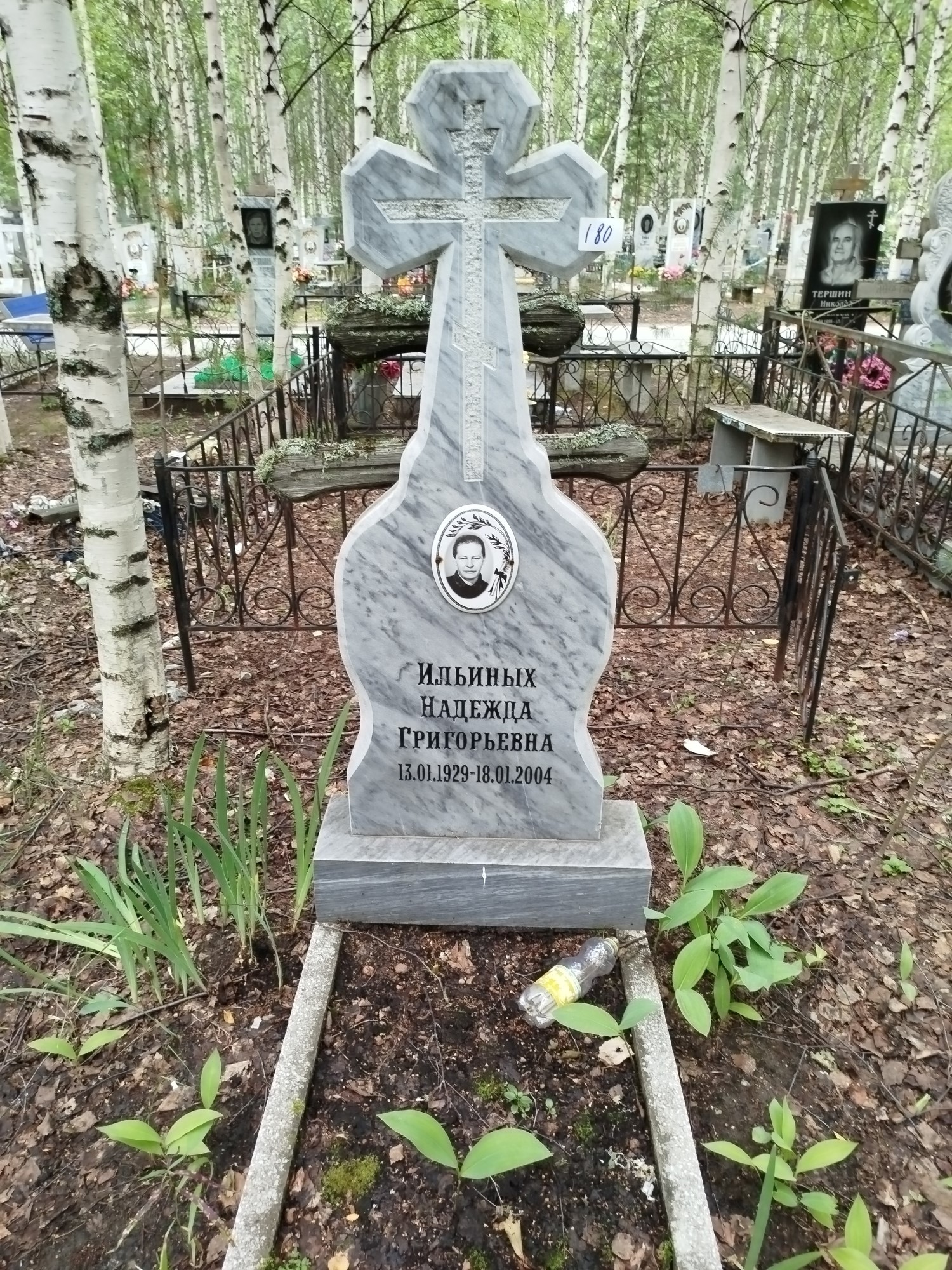 Ильиных Надежда Григорьевна