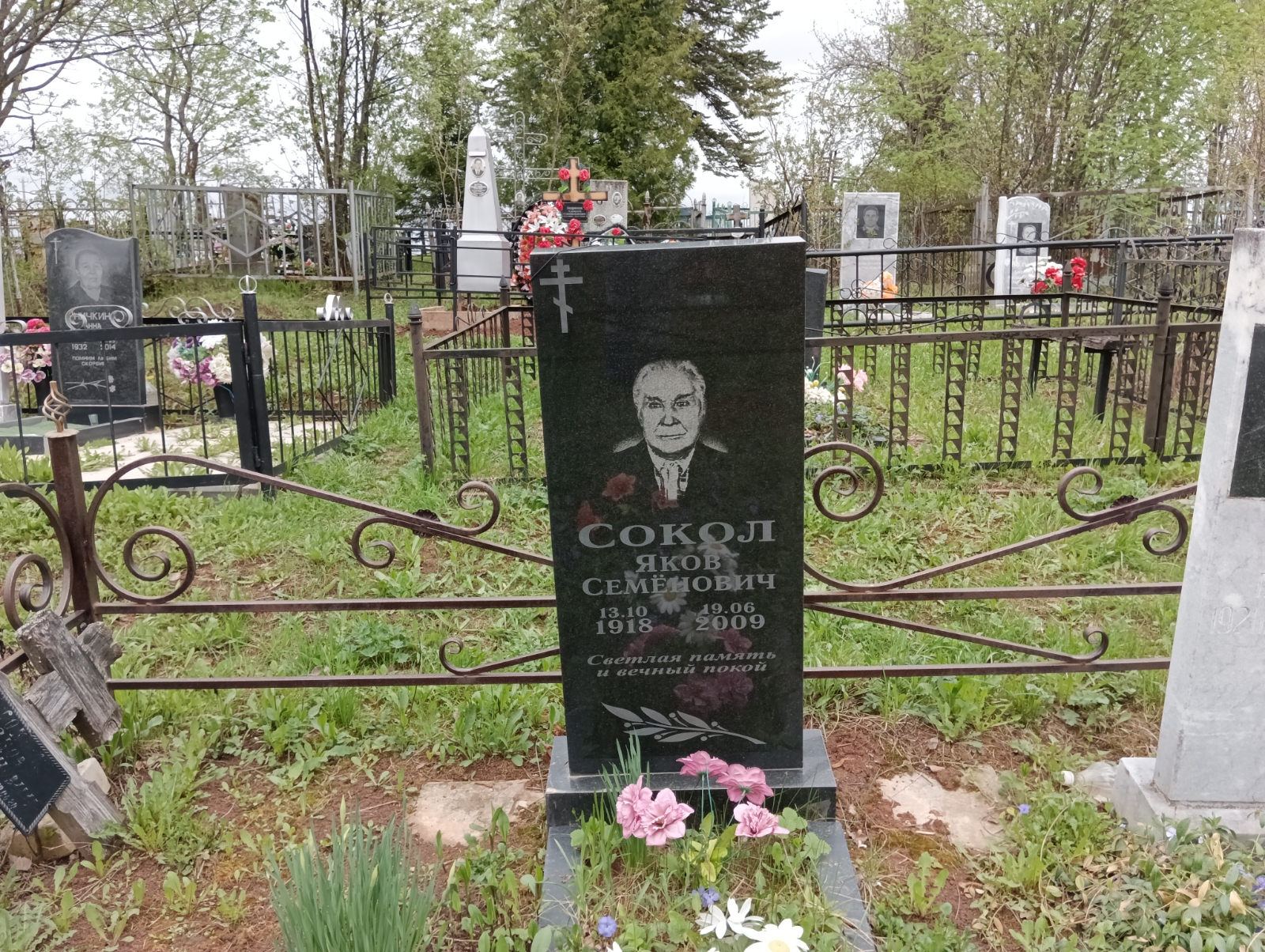 Сокол Яков Семенович
