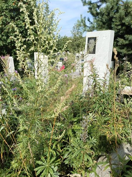 Александров Аркадий Александрович