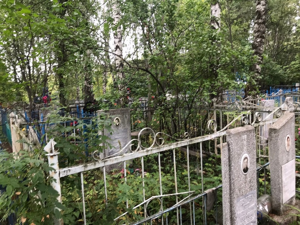 Плотников Александр