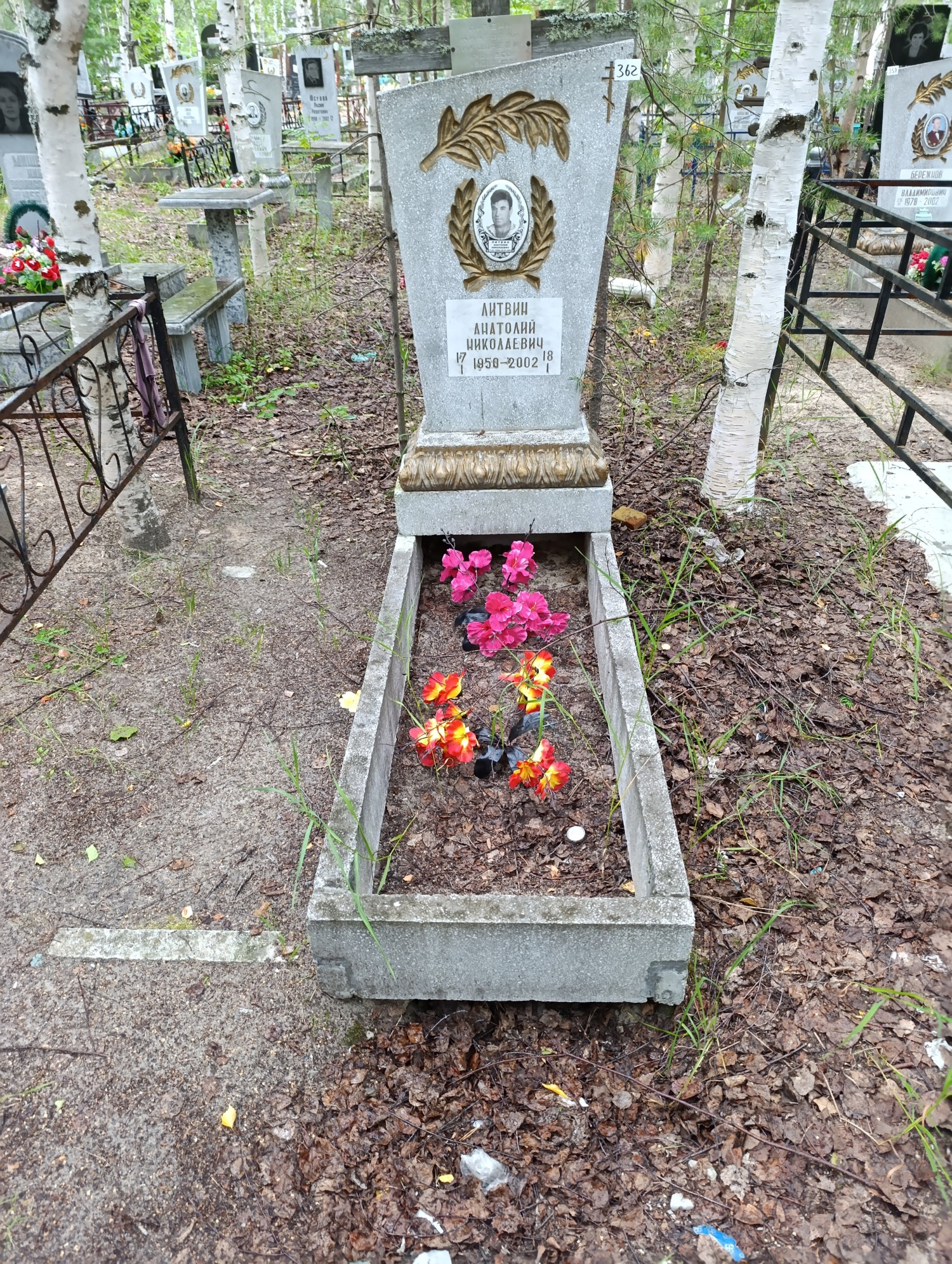 Литвин Анатолий Николаевич