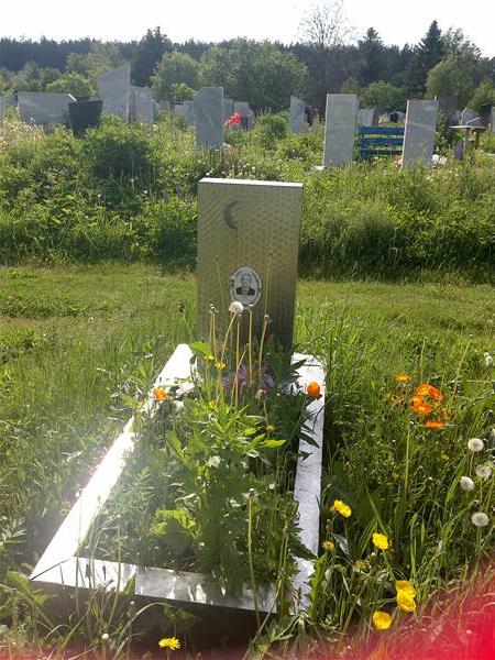 Шайхов Рашит