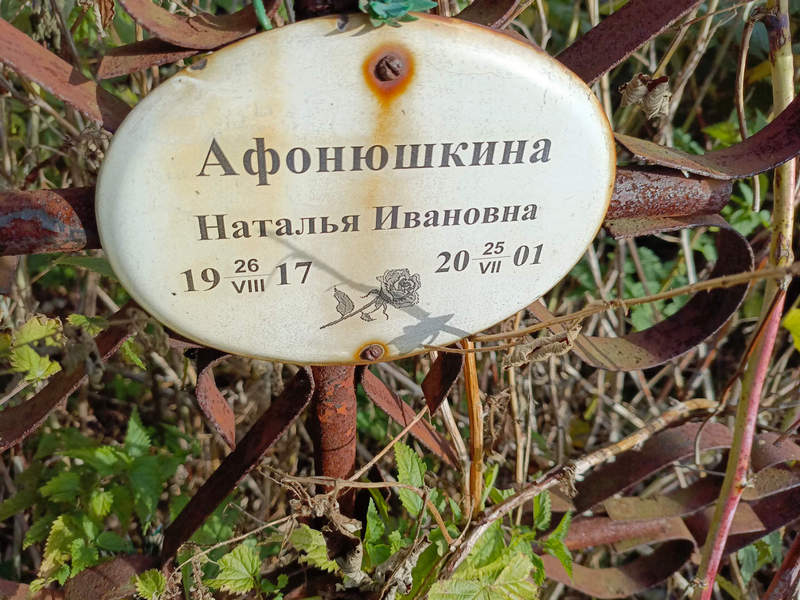 Афонюшкина