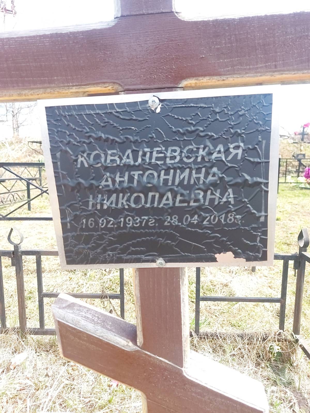 Ковалевская Антонина Николаевна
