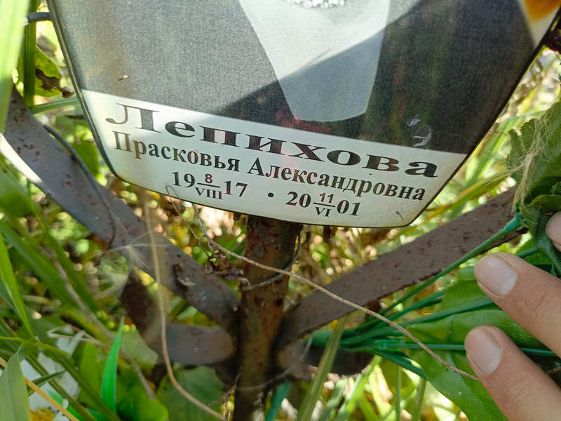 Лепихова Прасковья Александровна
