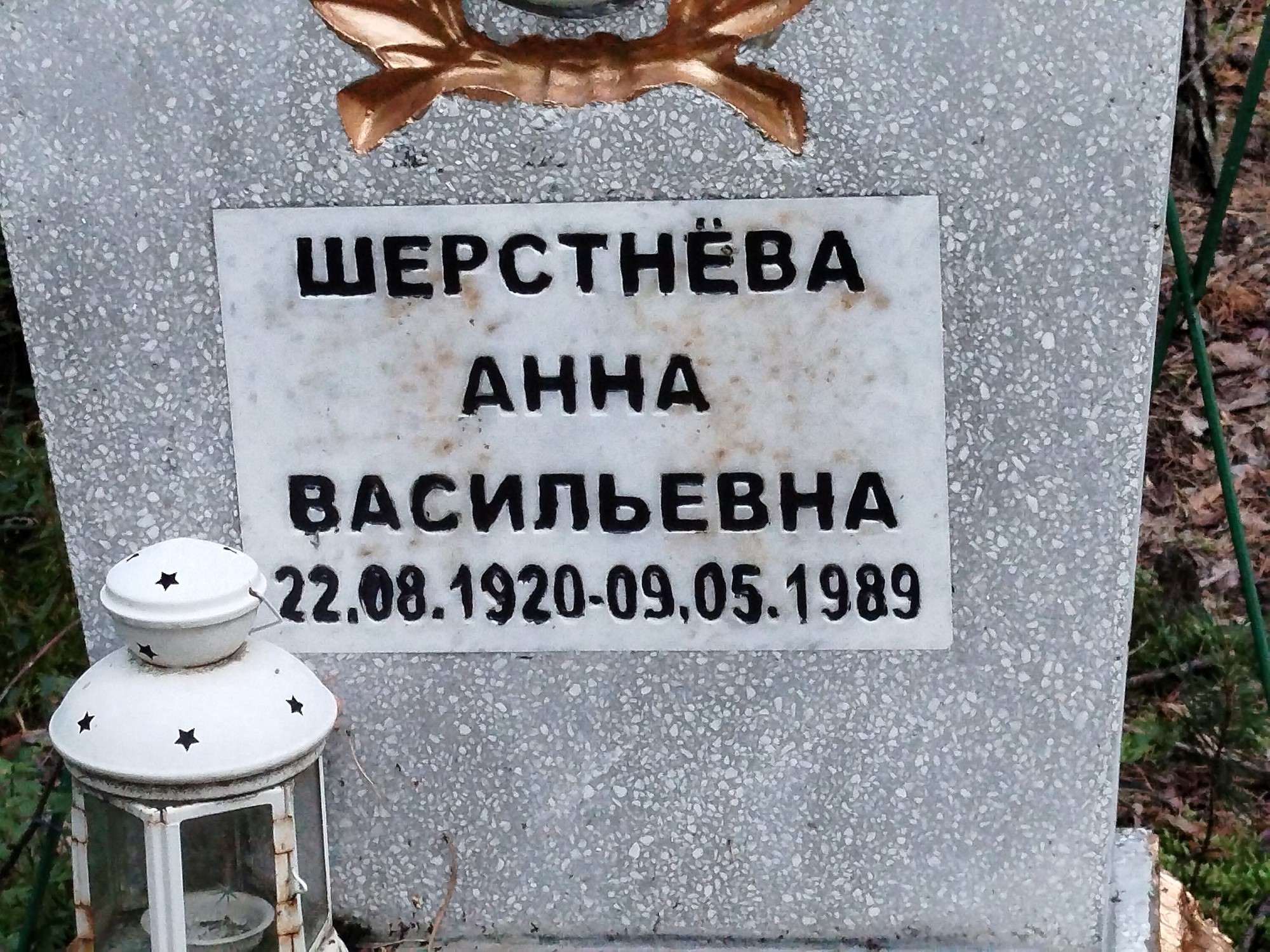Шерстнева Анна Васильевна