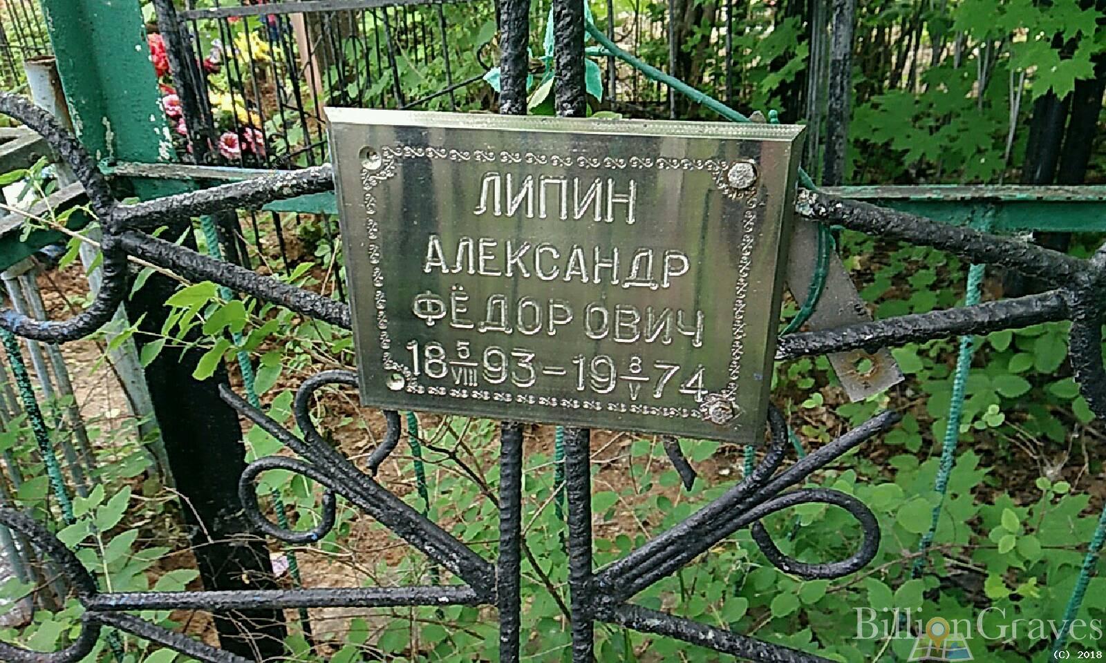 Липина Анастасия Тихоновна