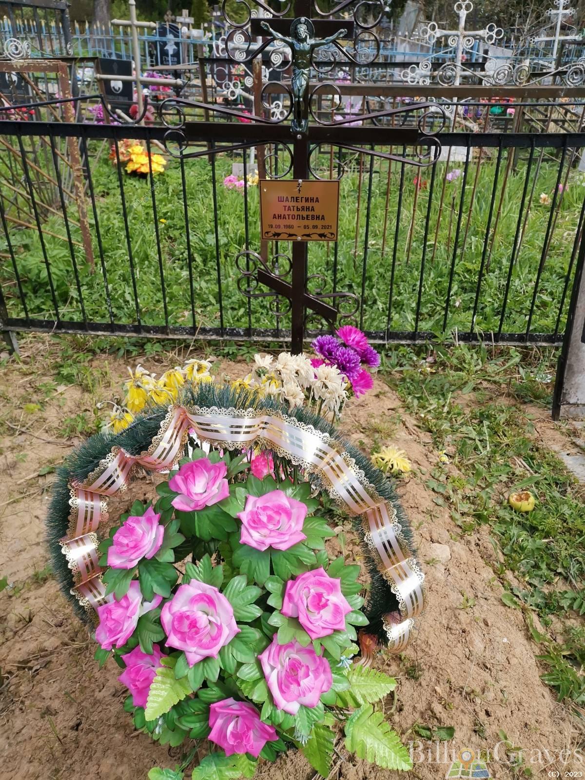Шалегина Татьяна Анатольевна