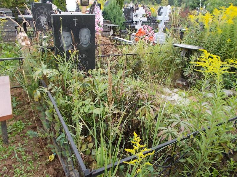 Коробков Петр Серафимович