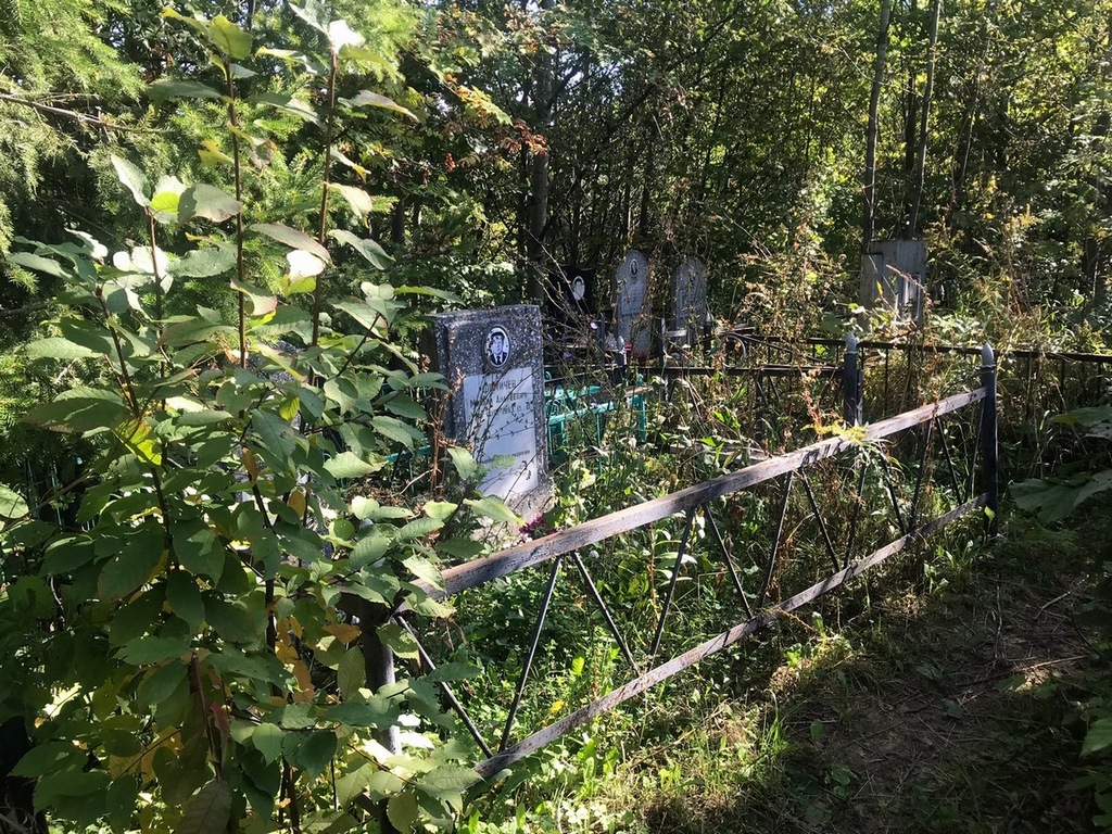 Фомичева Елизавета Николаевна