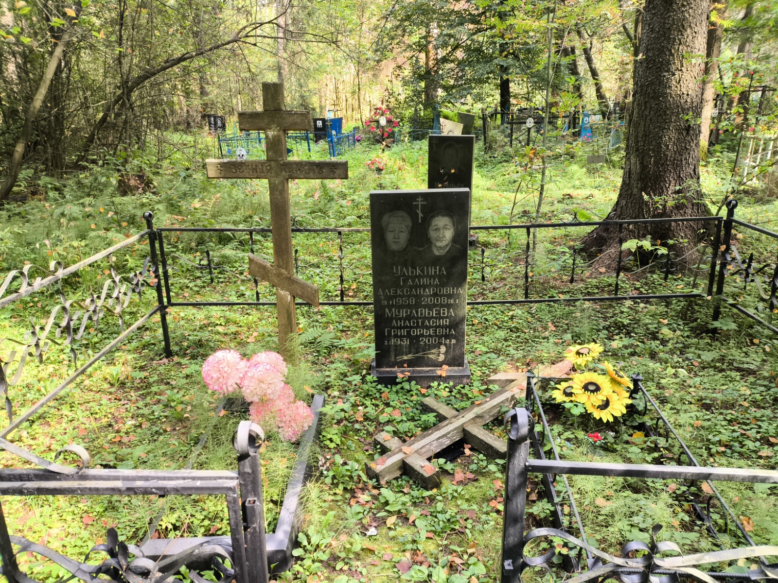 Улькина Галина Александровна
