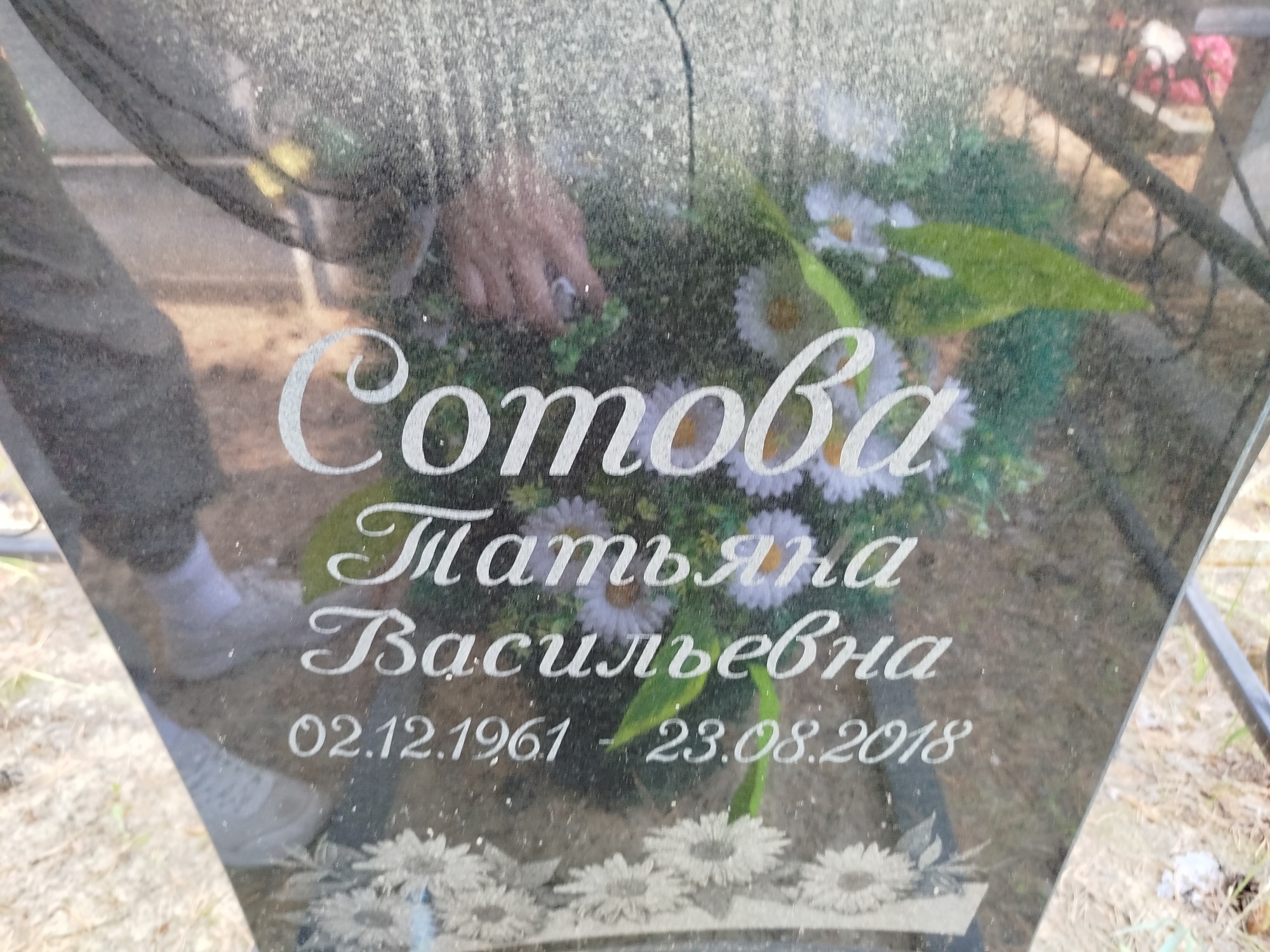 Сотова Татьяна Васильевна