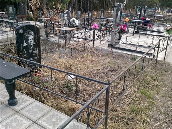 Богомолова Татьяна Степановна