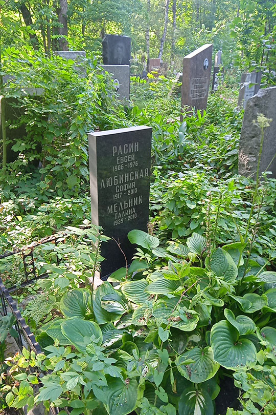 Мельник Галина