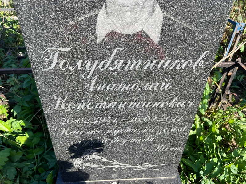Голубятников
