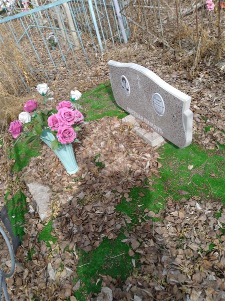 Талаева Елена Николаевна