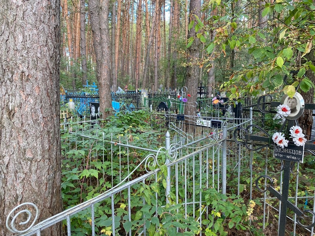 Королева М М