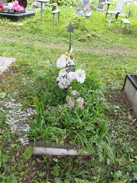 Ширяева Наталья Михайловна